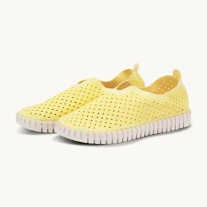 Tulip Sko - Lemon Drop